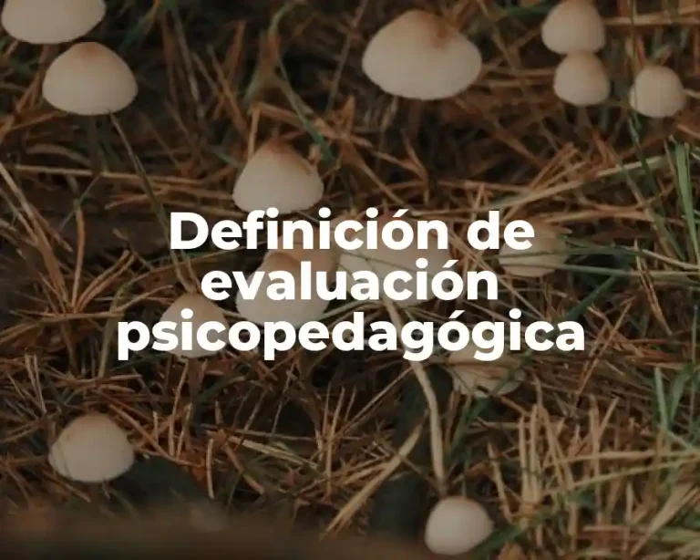 Definición de evaluación psicopedagógica