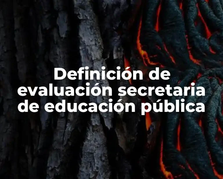 Definición de evaluación secretaria de educación pública