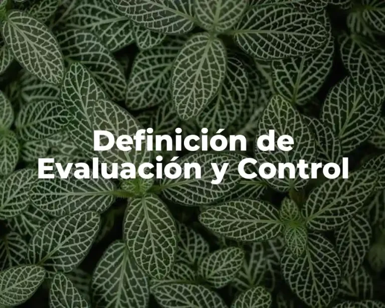 Definición de Evaluación y Control