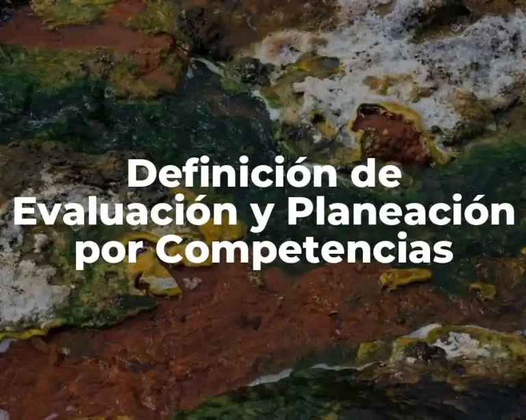 Definición de Evaluación y Planeación por Competencias