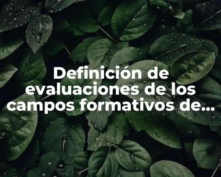 Definición de evaluaciones de los campos formativos de preescolar