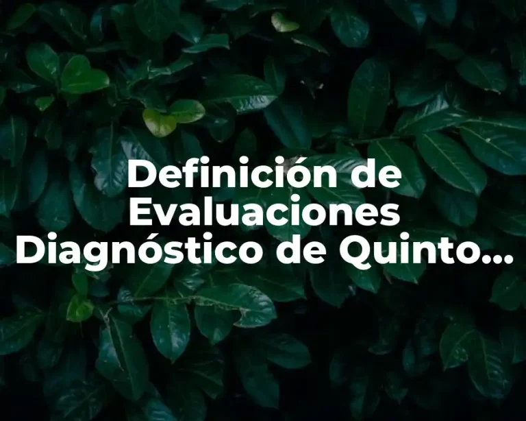 Definición de Evaluaciones Diagnóstico de Quinto de Primaria