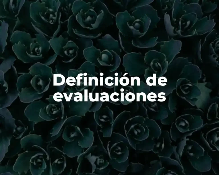 Definición de evaluaciones