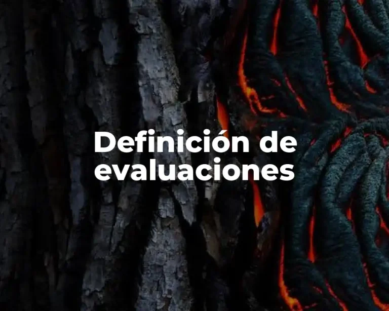 Definición de evaluaciones