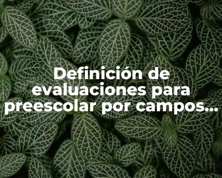 Definición de evaluaciones para preescolar por campos formativos