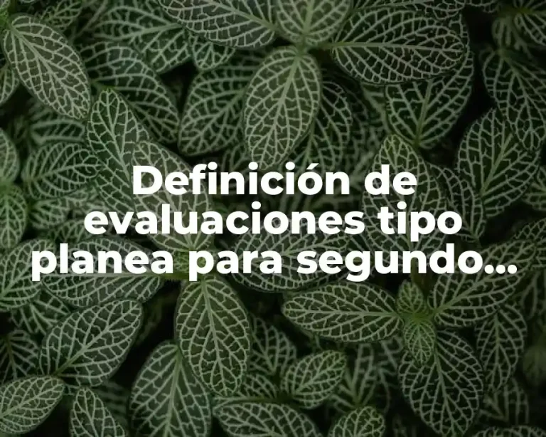 Definición de evaluaciones tipo planea para segundo grado de secundaria