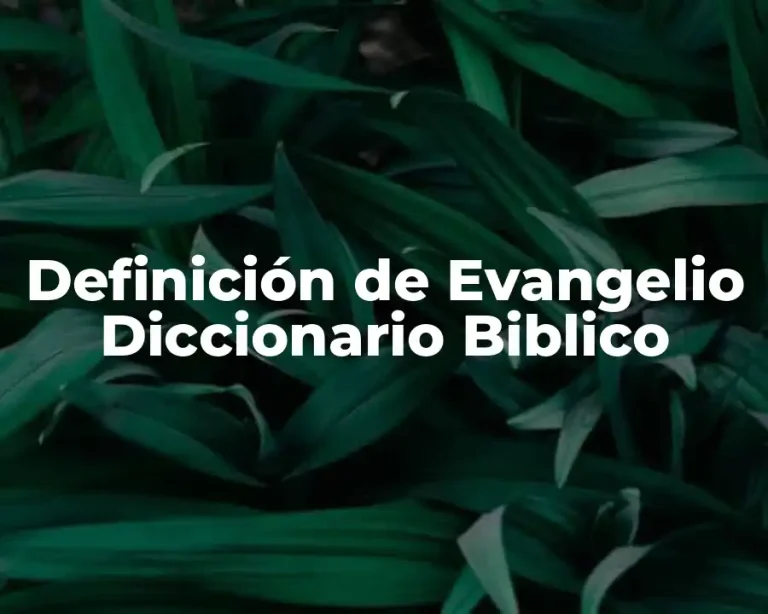 Definición de Evangelio Diccionario Biblico