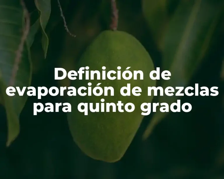 Definición de evaporación de mezclas para quinto grado