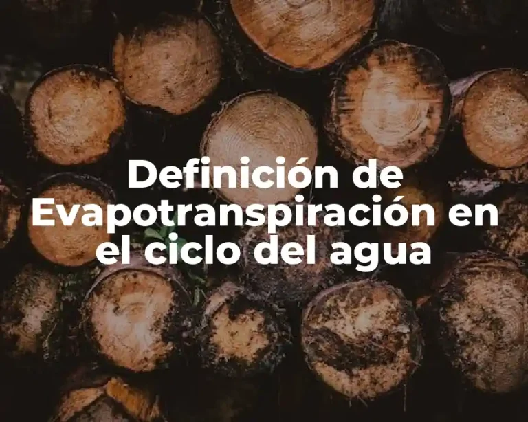 Definición de Evapotranspiración en el ciclo del agua