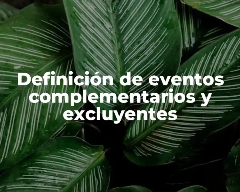 Definición de eventos complementarios y excluyentes