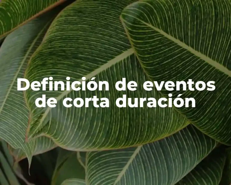 Definición de eventos de corta duración