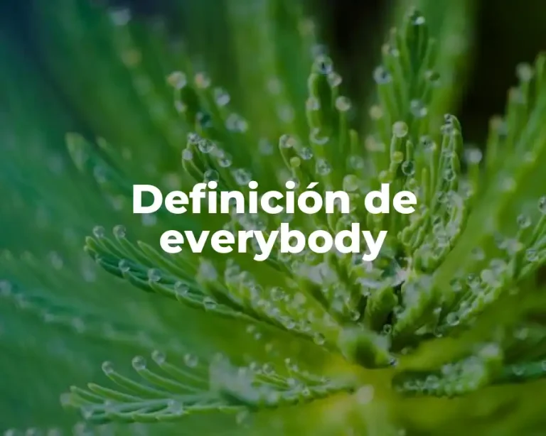 Definición de everybody