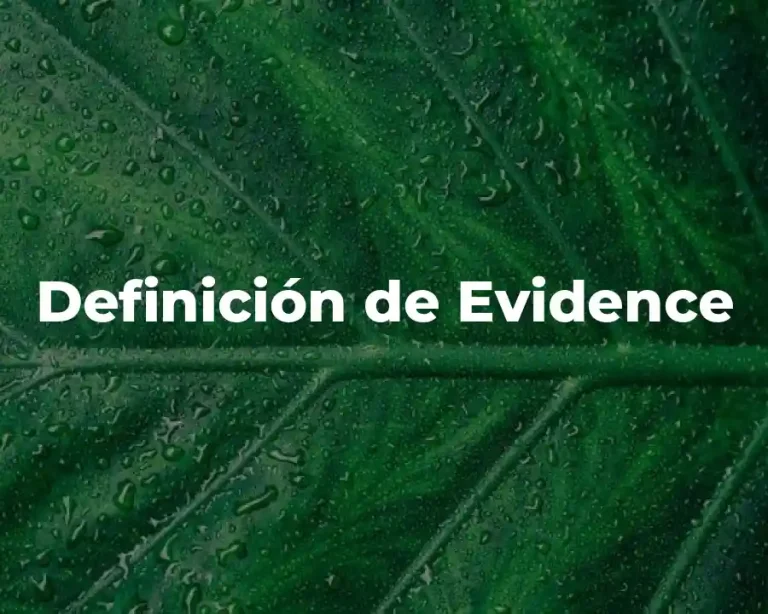 Definición de Evidence