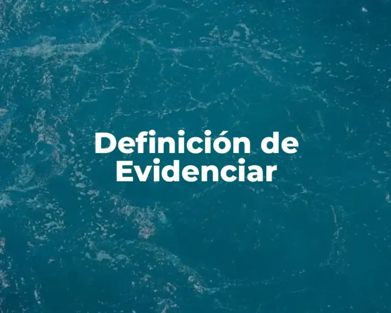 Definición de Evidenciar