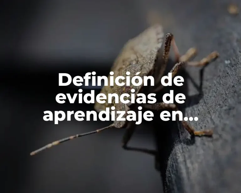 Definición de evidencias de aprendizaje en educación física