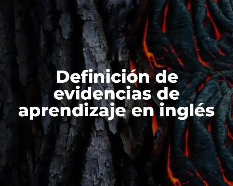 Definición de evidencias de aprendizaje en inglés