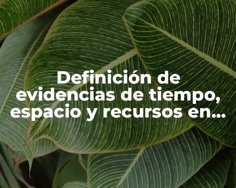 Definición de evidencias de tiempo, espacio y recursos en preescolar