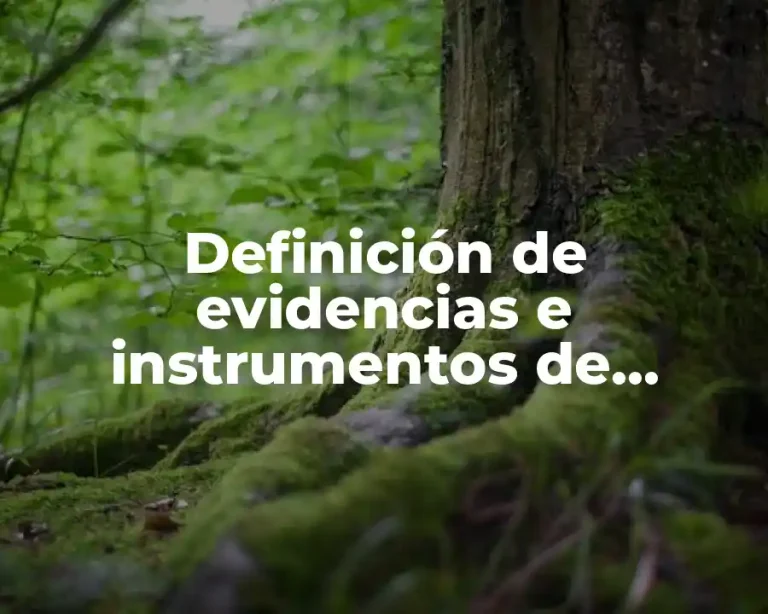 Definición de evidencias e instrumentos de evaluación por competencias