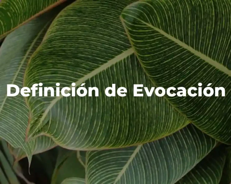 Definición de Evocación