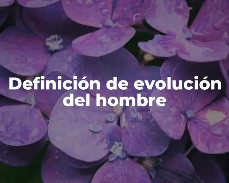 Definición de evolución del hombre