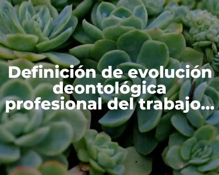 Definición de evolución deontológica profesional del trabajo social