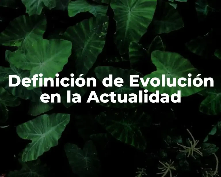Definición de Evolución en la Actualidad