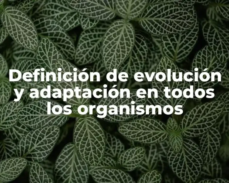 Definición de evolución y adaptación en todos los organismos