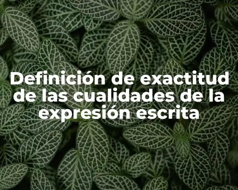 Definición de exactitud de las cualidades de la expresión escrita