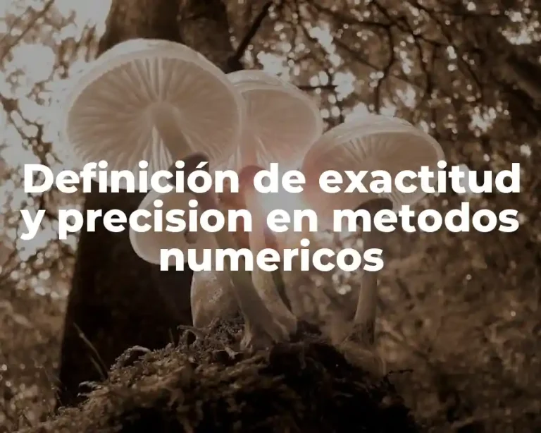Definición de exactitud y precision en metodos numericos