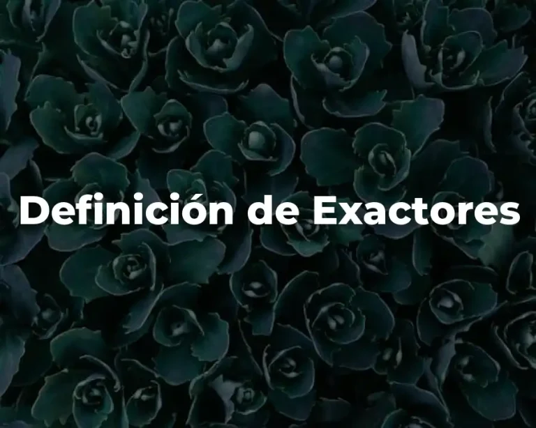 Definición de Exactores