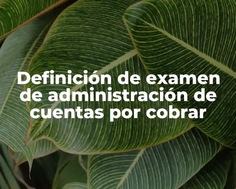 Definición de examen de administración de cuentas por cobrar