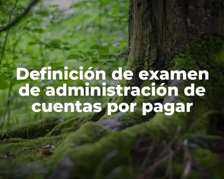 Definición de examen de administración de cuentas por pagar