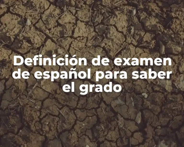 Definición de examen de español para saber el grado