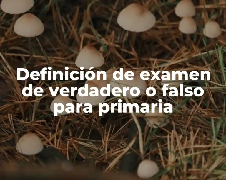 Definición de examen de verdadero o falso para primaria