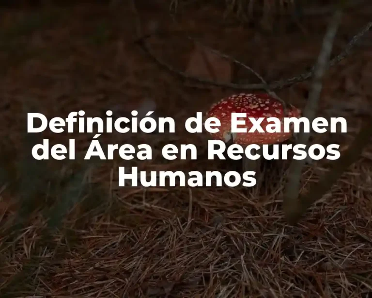 Definición de Examen del Área en Recursos Humanos