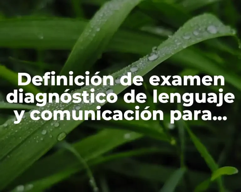 Definición de examen diagnóstico de lenguaje y comunicación para preescolar