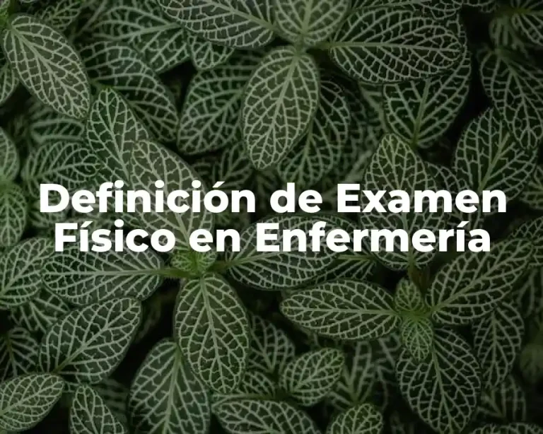 Definición de Examen Físico en Enfermería