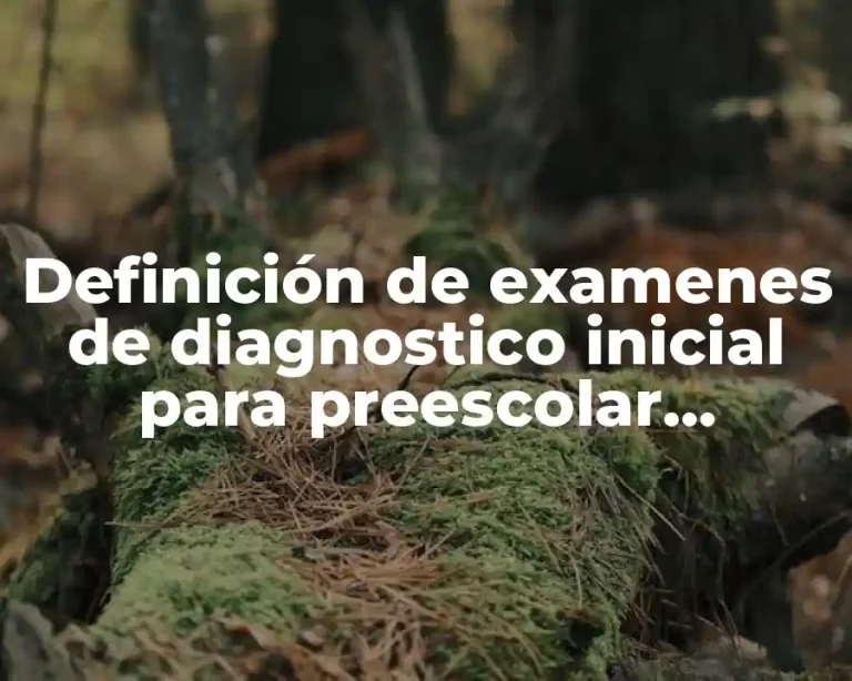 Definición de examenes de diagnostico inicial para preescolar segundo grado