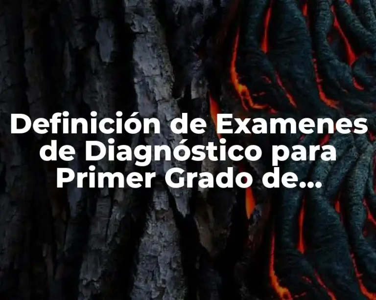 Definición de Examenes de Diagnóstico para Primer Grado de Primaria