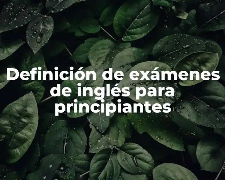 Definición de exámenes de inglés para principiantes