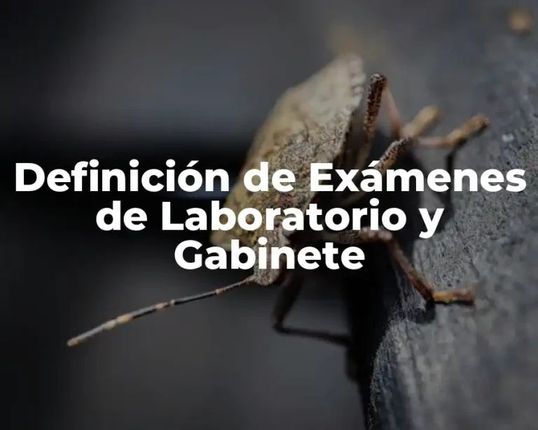Definición de Exámenes de Laboratorio y Gabinete