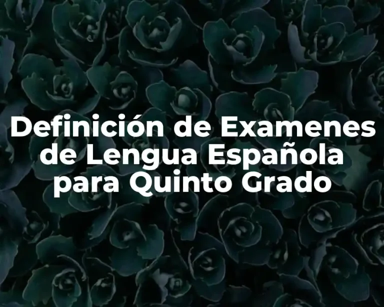 Definición de Examenes de Lengua Española para Quinto Grado