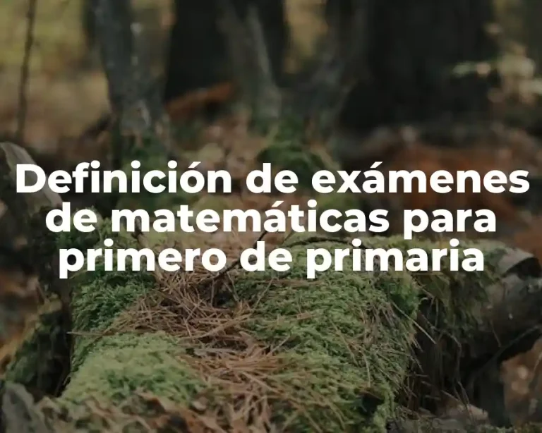 Definición de exámenes de matemáticas para primero de primaria
