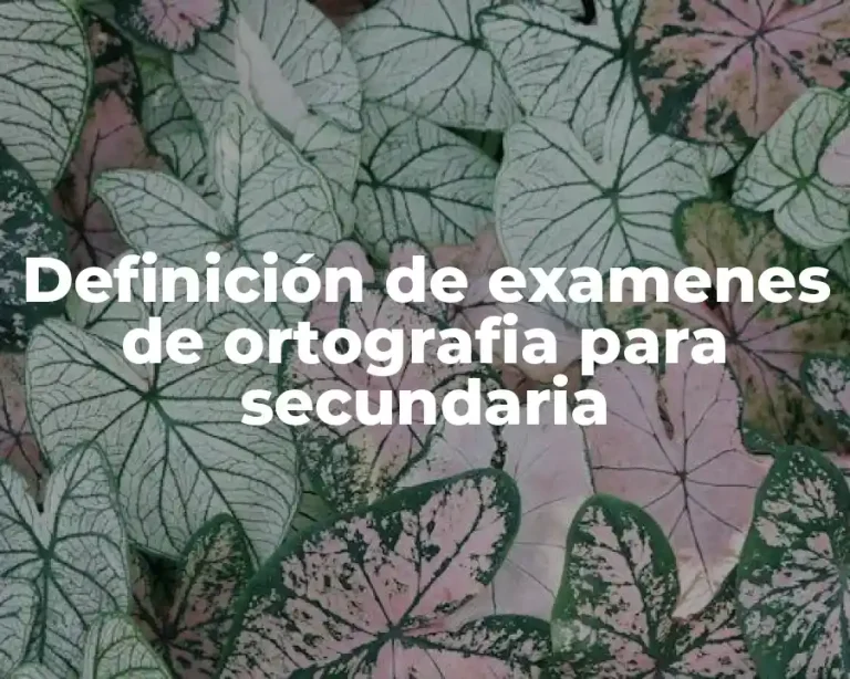 Definición de examenes de ortografia para secundaria