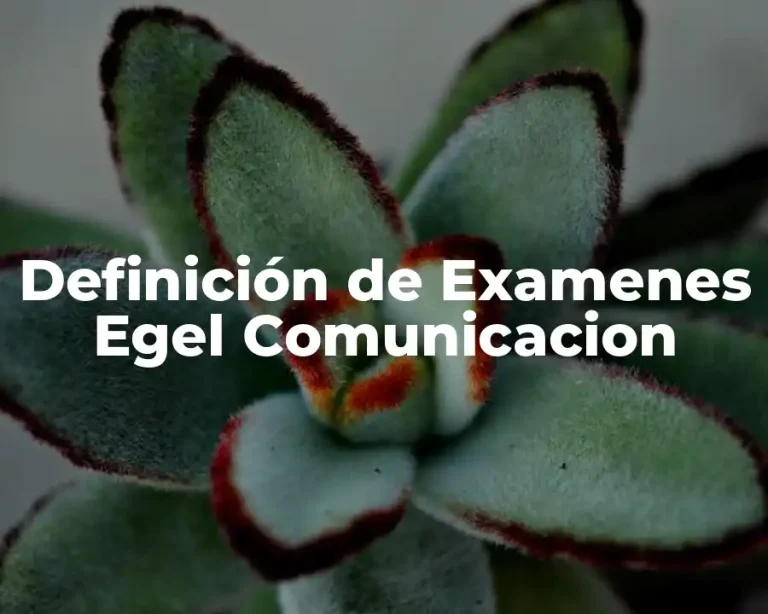 Definición de Examenes Egel Comunicacion