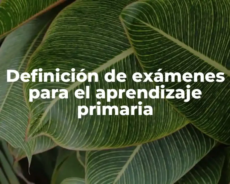 Definición de exámenes para el aprendizaje primaria