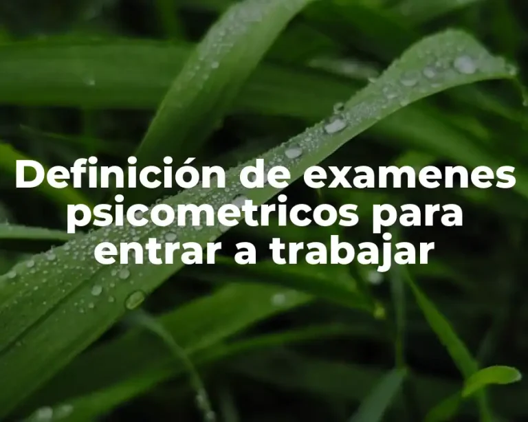 Definición de examenes psicometricos para entrar a trabajar