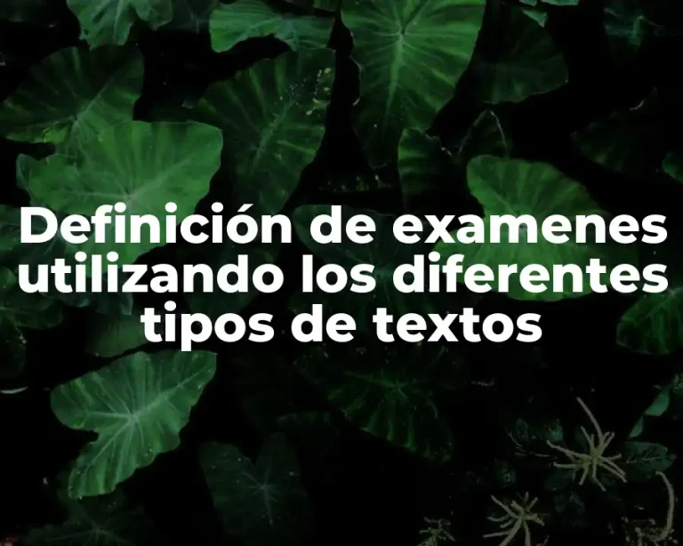 Definición de examenes utilizando los diferentes tipos de textos