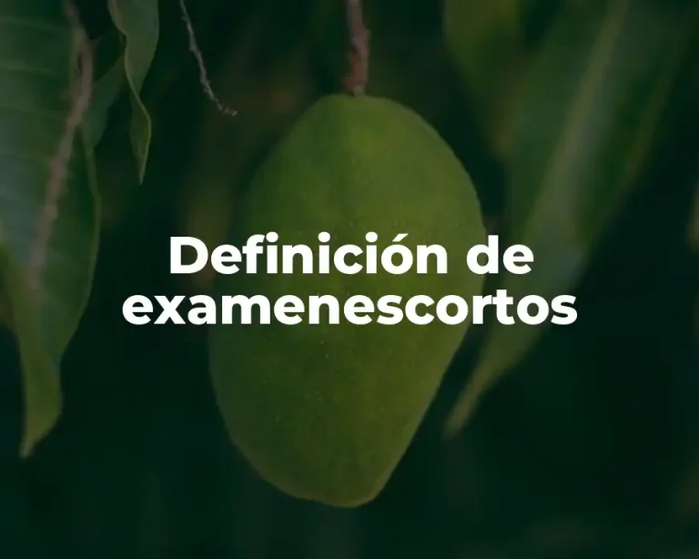 Definición de examenescortos