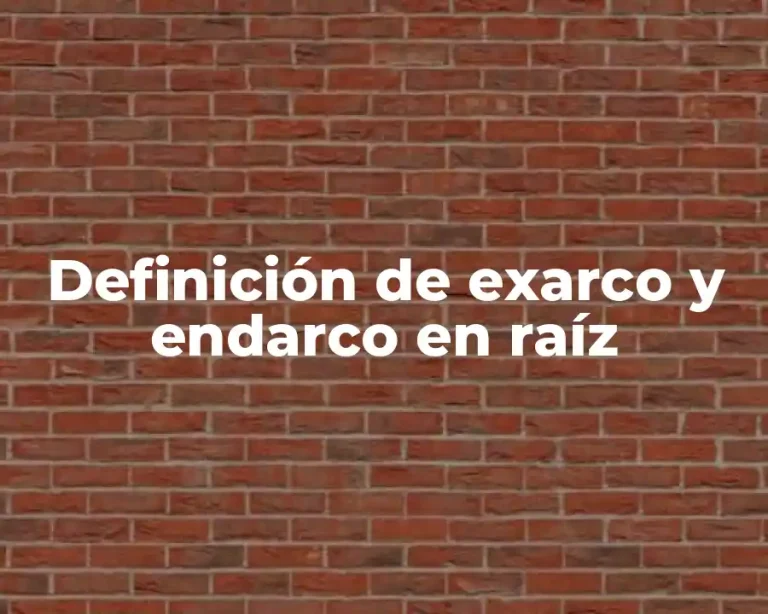 Definición de exarco y endarco en raíz